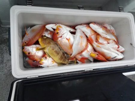 第二大福丸 釣果