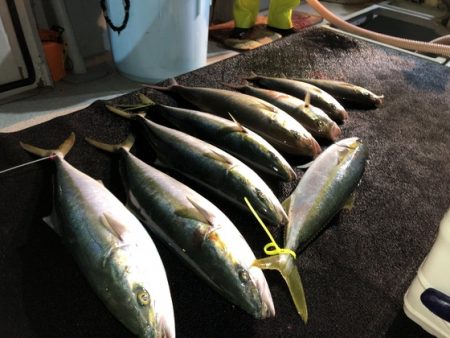 幸風（さちかぜ） 釣果