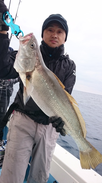 海晴丸 釣果
