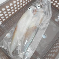 こうゆう丸 釣果