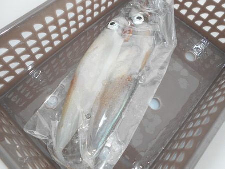 こうゆう丸 釣果