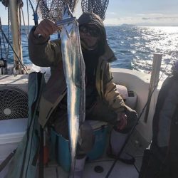 スカイマリン 釣果