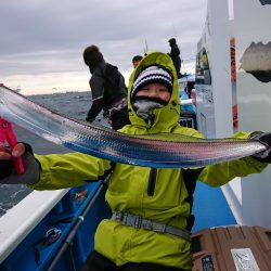 深川　吉野屋 釣果
