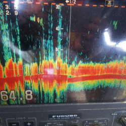 深川 吉野屋 釣果