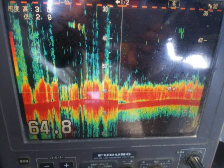 深川 吉野屋 釣果