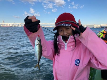 深川 吉野屋 釣果