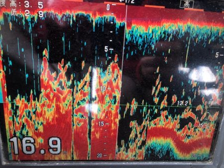 深川 吉野屋 釣果