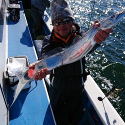 深川 吉野屋 釣果