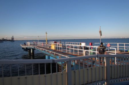 オリジナルメーカー海づり公園(市原市海づり施設) 釣果