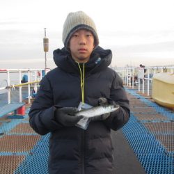 オリジナルメーカー海づり公園(市原市海づり施設) 釣果