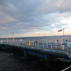 オリジナルメーカー海づり公園(市原市海づり施設) 釣果