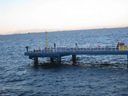 オリジナルメーカー海づり公園(市原市海づり施設) 釣果