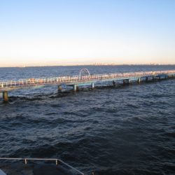 オリジナルメーカー海づり公園(市原市海づり施設) 釣果