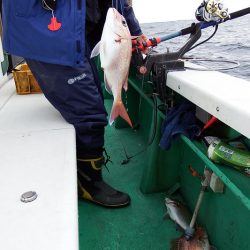 第三むつりょう丸 釣果