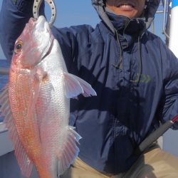 遊漁船 新鋭丸 釣果