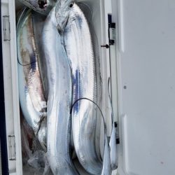 遊漁船 ニライカナイ 釣果