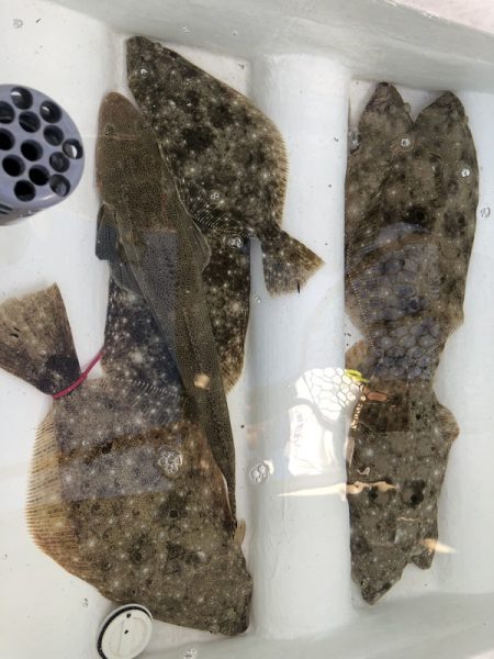 Magic(マジック) 釣果