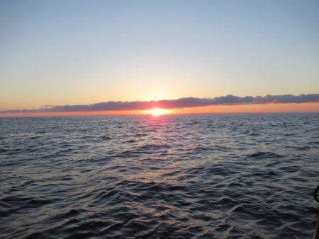 真祐丸 (しんゆうまる) 釣果