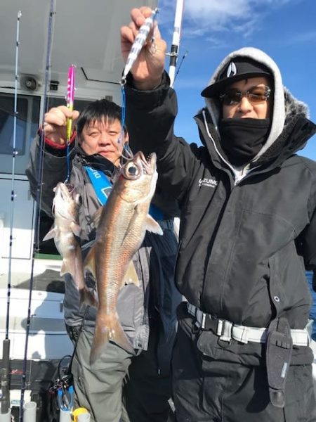 へいみつ丸 釣果