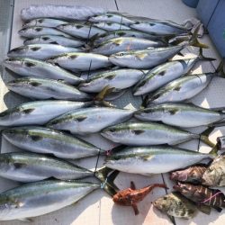 ふじしめ丸 釣果