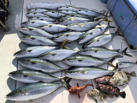 ふじしめ丸 釣果