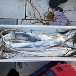 スカイマリン 釣果