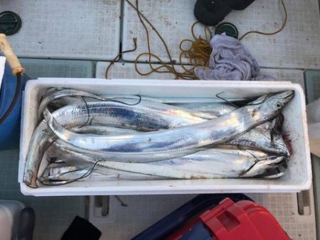 スカイマリン 釣果