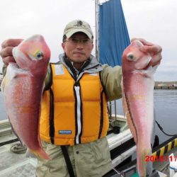 大進丸（新潟） 釣果