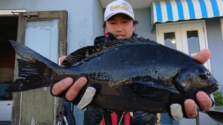 伊豆下田フィッシング 釣果