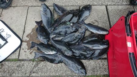 伊豆下田フィッシング 釣果