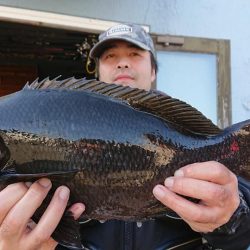伊豆下田フィッシング 釣果