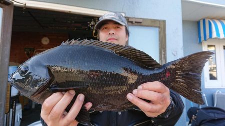 伊豆下田フィッシング 釣果