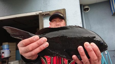 伊豆下田フィッシング 釣果