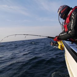 松鶴丸 釣果