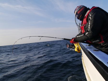 松鶴丸 釣果