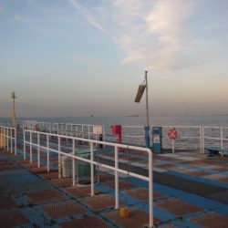 オリジナルメーカー海づり公園(市原市海づり施設) 釣果