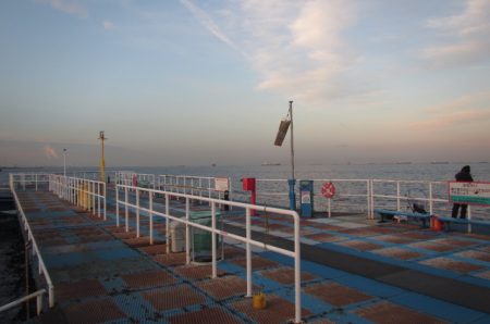 オリジナルメーカー海づり公園(市原市海づり施設) 釣果