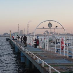 オリジナルメーカー海づり公園(市原市海づり施設) 釣果