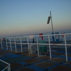 オリジナルメーカー海づり公園(市原市海づり施設) 釣果