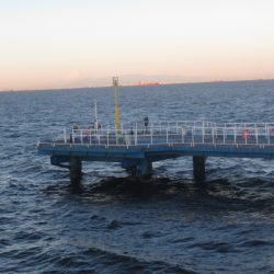 オリジナルメーカー海づり公園(市原市海づり施設) 釣果