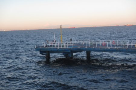 オリジナルメーカー海づり公園(市原市海づり施設) 釣果