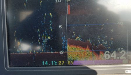 遊漁船　ニライカナイ 釣果