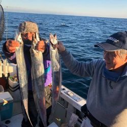 スカイマリン 釣果