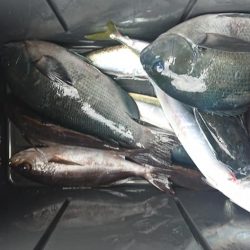 伊豆下田フィッシング 釣果