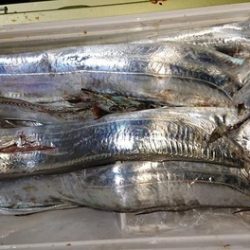 スカイマリン 釣果