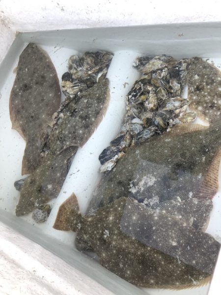 Magic(マジック) 釣果