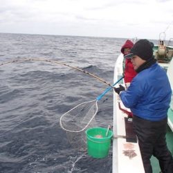 第二むつ漁丸 釣果