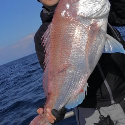 遊漁船 新鋭丸 釣果