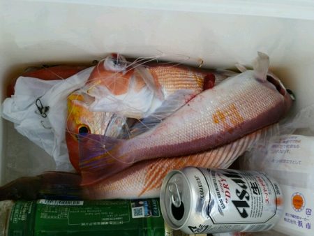 つれ鷹丸 釣果