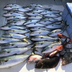 ふじしめ丸 釣果